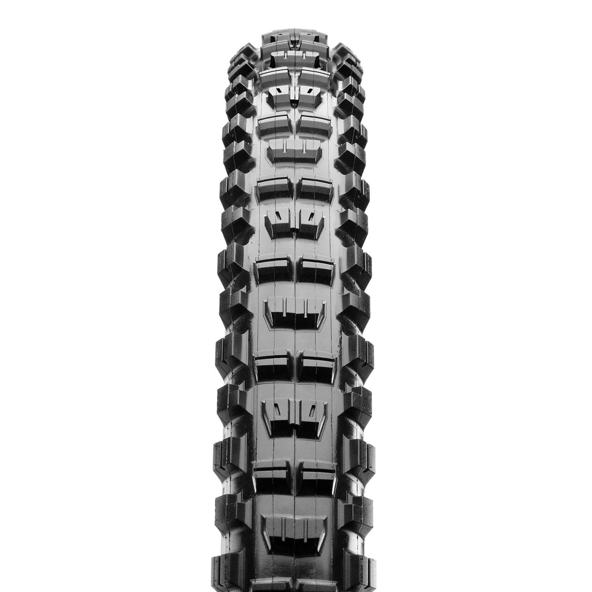 Minion Dhr2,29"x2.50, T R, 3C Maxx G D D 120tpi-2
