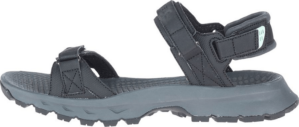 Cedrus Convert 3-19