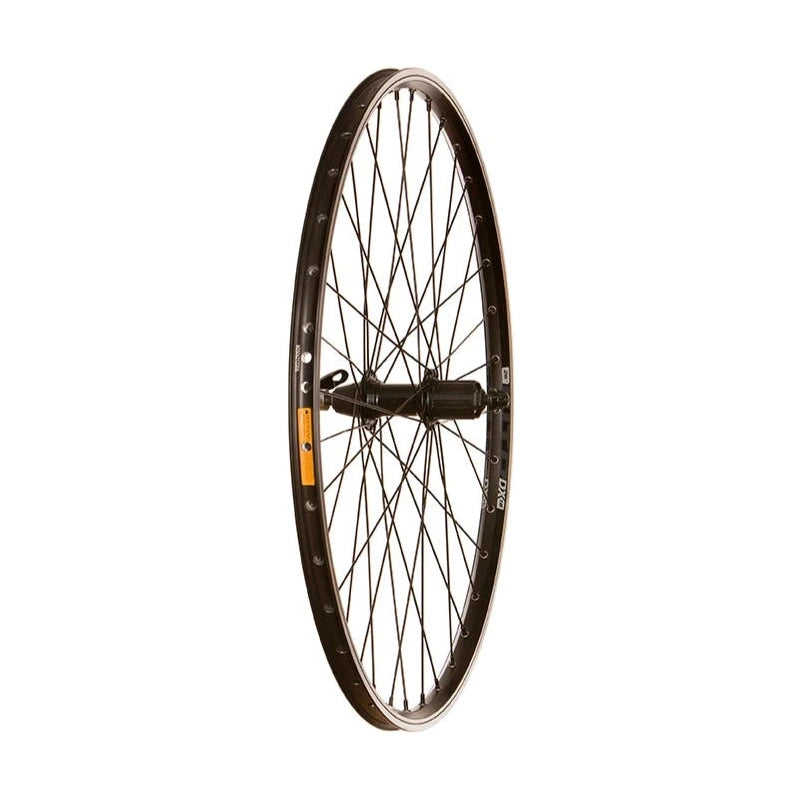 WTB Dx18 26'' Arriere-1