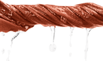 /0/6/061603_SEA081_Side2.png