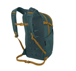 Daylite Plus-48
