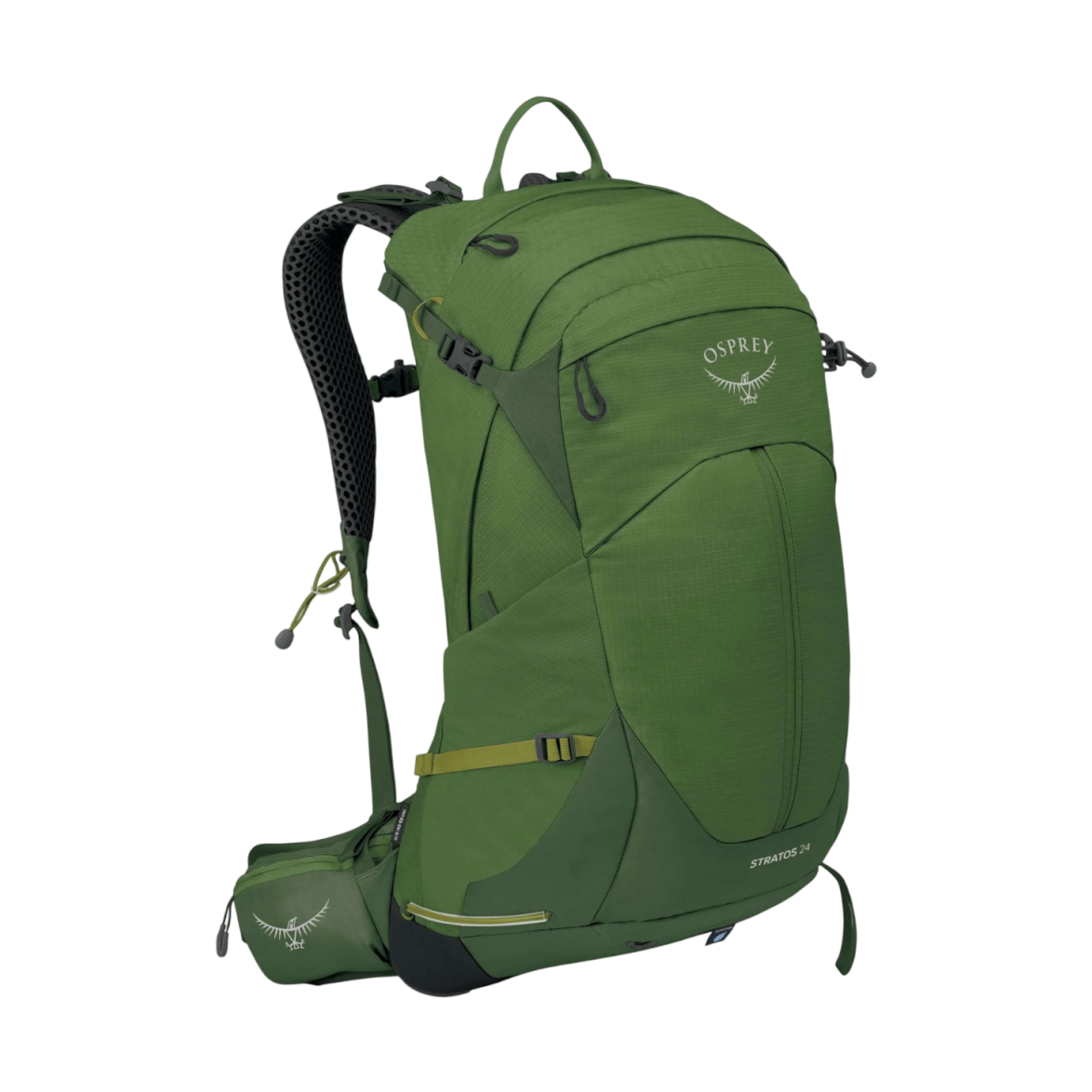 Stratos 24-Seaweed/Matcha Green-1