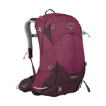 Sirrus 34-Elderberry Purple-1