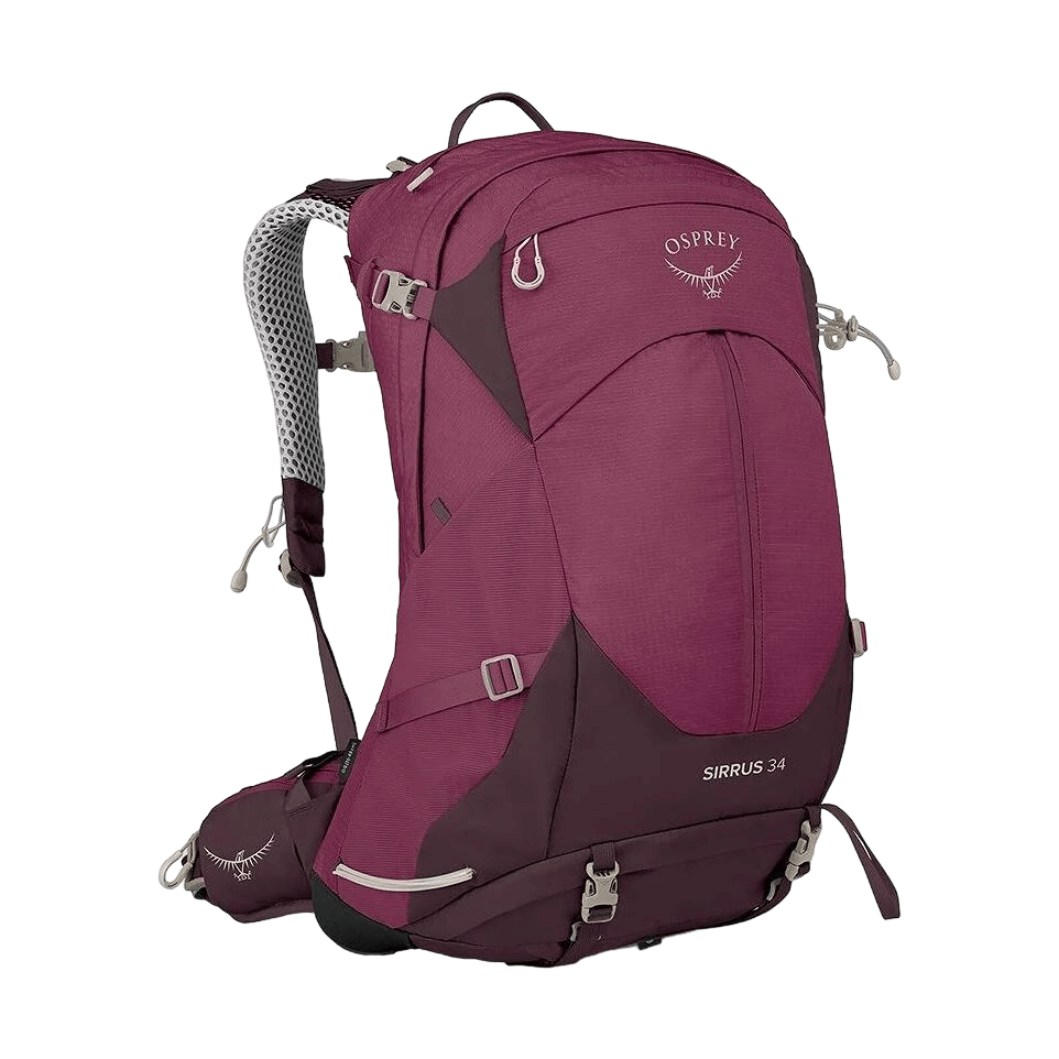 Sirrus 34-Elderberry Purple-1