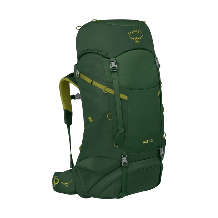 ACE 50-Green Canopy-1