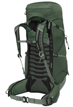 Talon 44-19