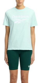 Identity BIG Logo-Glitch Aqua-1