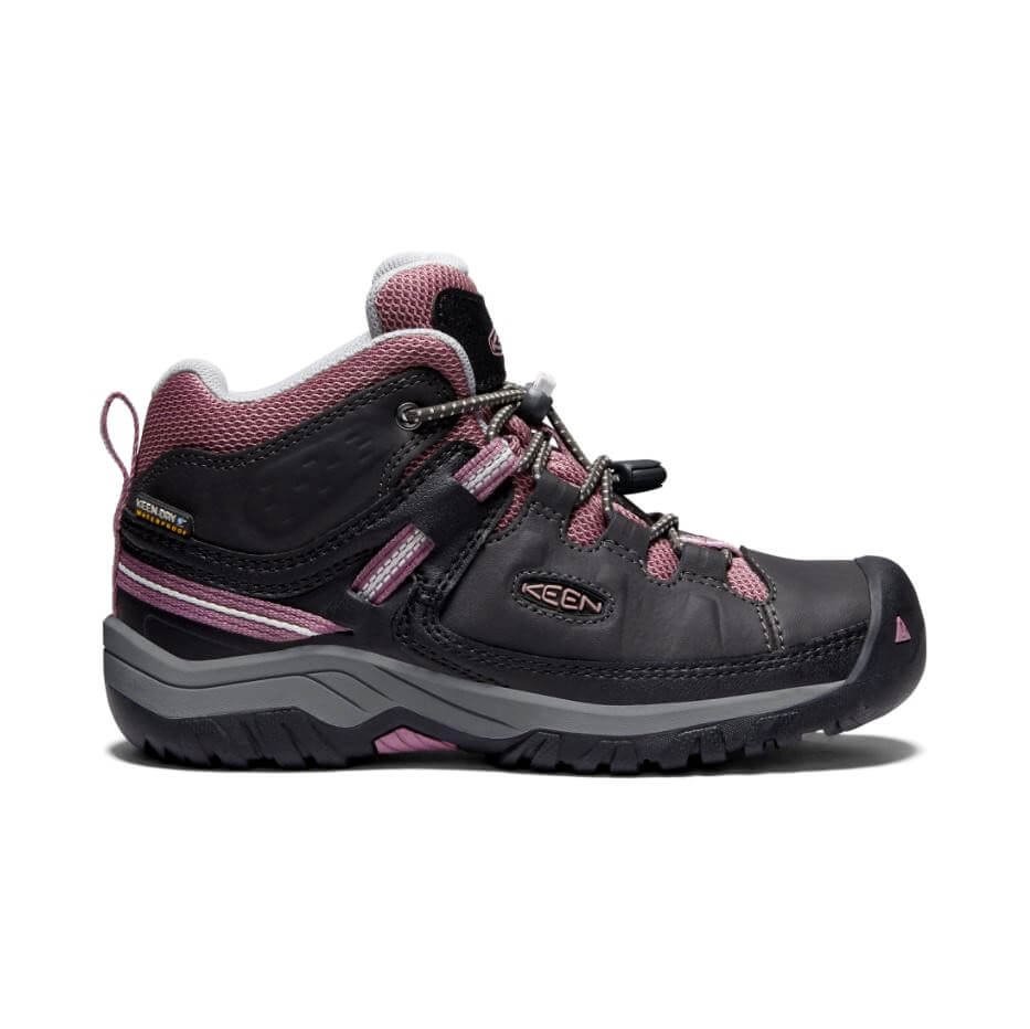 Targhee MID WP-Y-2