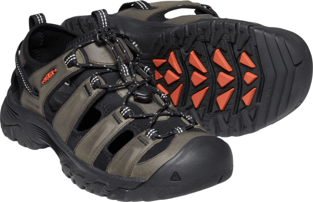 Targhee III-9
