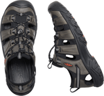 Targhee III-10