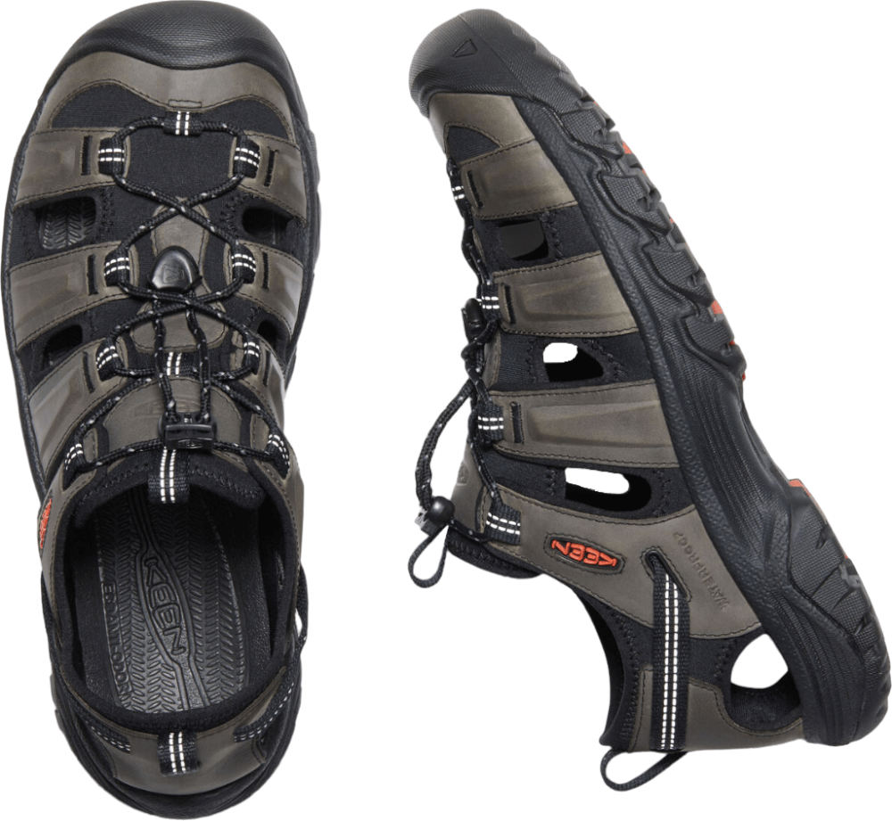 Targhee III-10