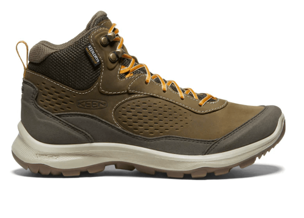 Terradora Explorer MID WP-Canteen/Curr-1