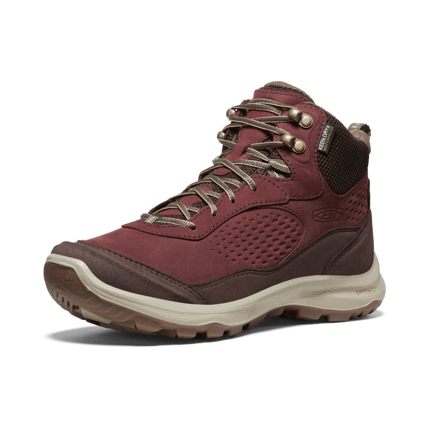Terradora Explorer MID WP-W-14