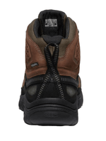 Targhee IV MID WP-4