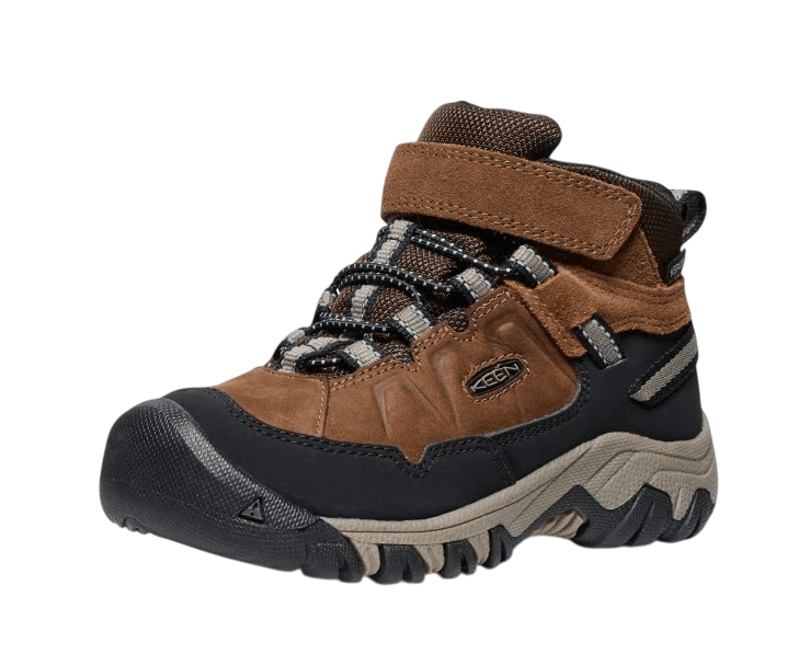 Targhee IV MID WP-C-3