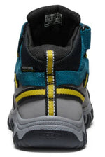 Targhee IV MID WP-C-8