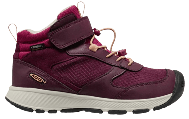 Skua MID WP-Y-1