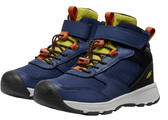 Skua MID WP-C-2