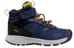 Skua MID WP-C-Naval Academy/Rogue-1