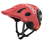 Tectal Race Mips-1