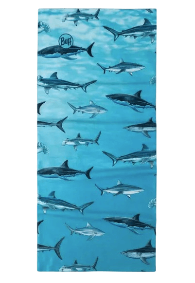 Texte alternatif de l'image
