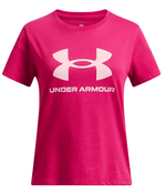 BIG Logo-681-Shaded Fuchsia/P-1