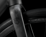 Domane AL 2 GEN 4-19