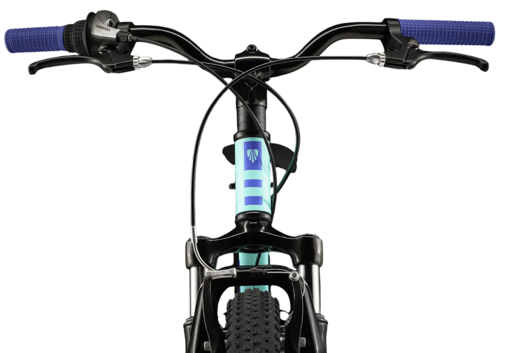 Precaliber 24 8SP Susp-10