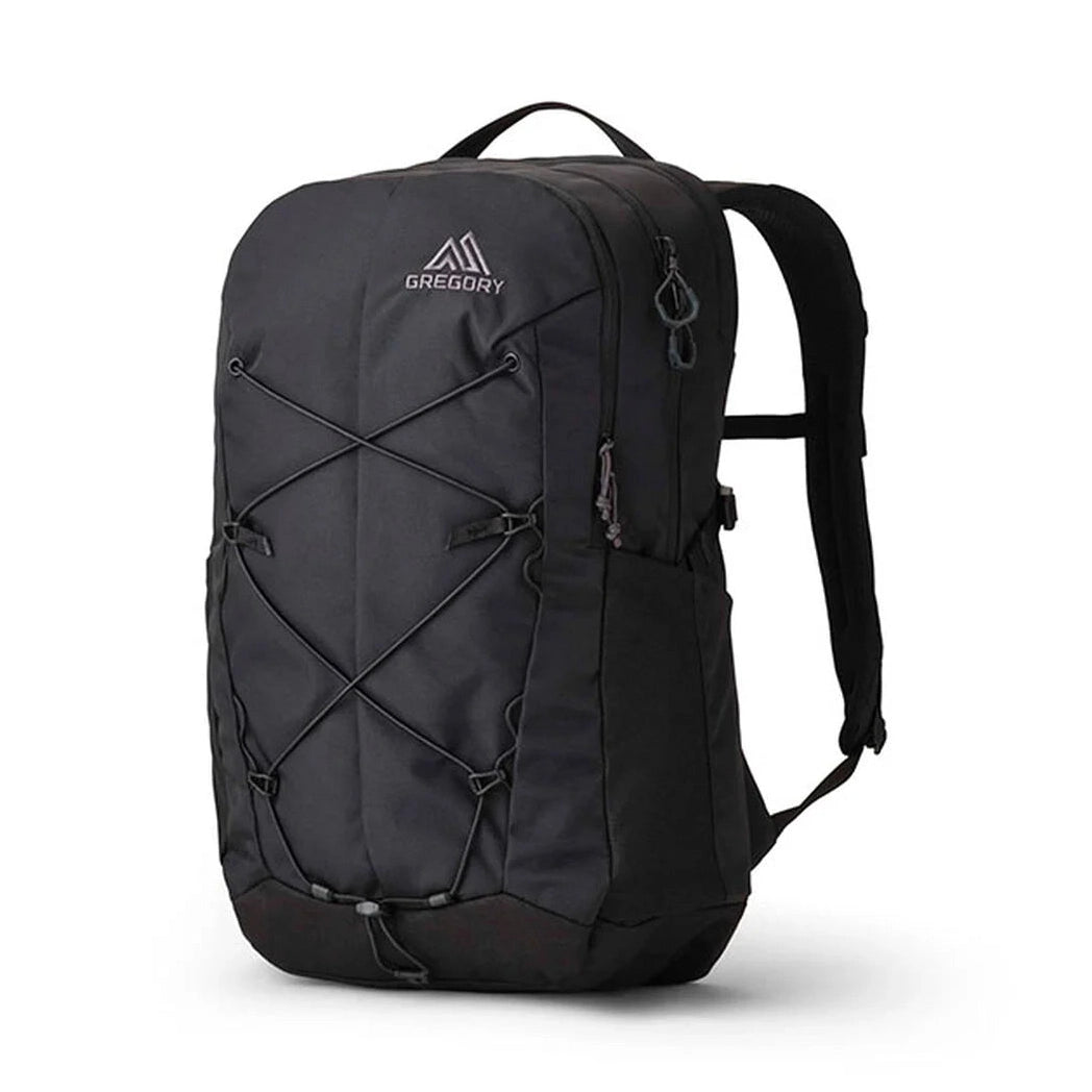 Terros 28-A653-Black Lichen-1