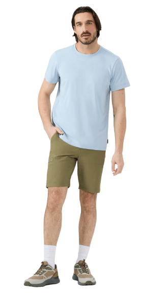 Austral-Gris Bleuté-1