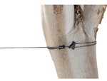 Lite Line Clothesline-6