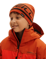 Reversible Logo-1