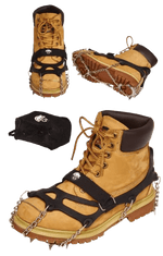Icepro-2