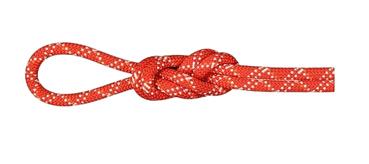 9.5 GYM Classic 40M-Rasberry/White-1