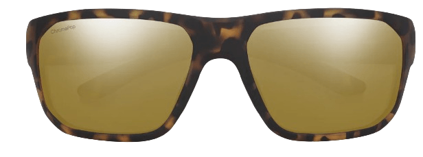 Arvo Matte Dark Tortoise CP Polarized BM-5