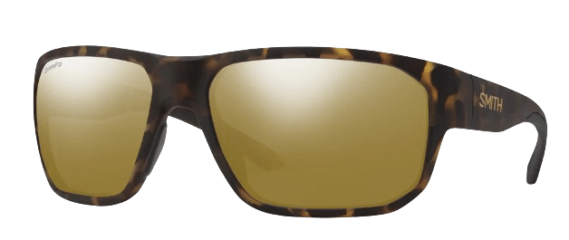 Arvo Matte Dark Tortoise CP Polarized BM-1