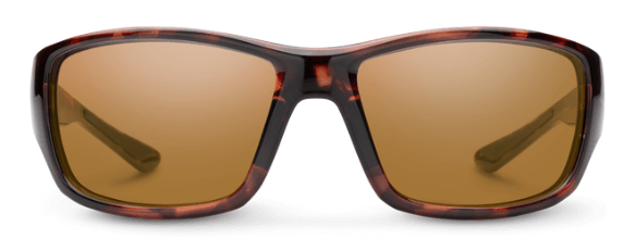Hull Tortoise Polarized Brown-2