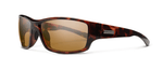 Hull Tortoise Polarized Brown-1