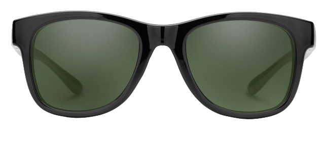 Leeway Black Polarized Gray Green-2