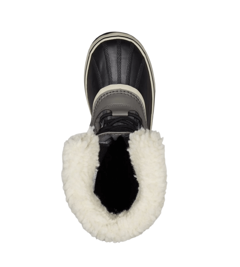 Winter Carnival WP-24