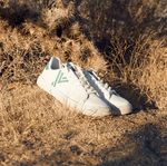 Fractus Cactus-2