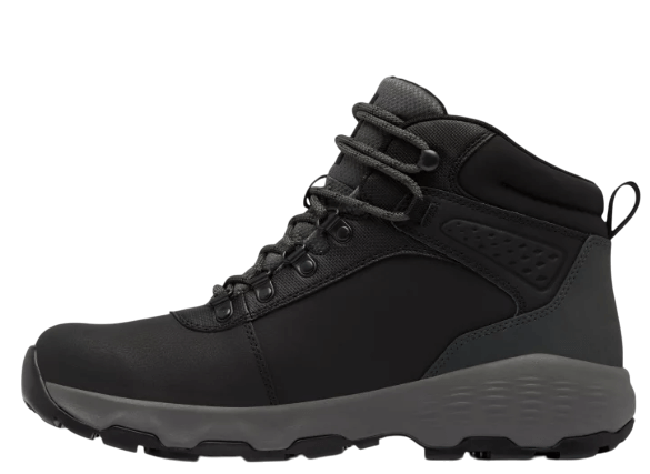 Newton Wander LTR-10