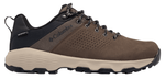 Newton Nimble LTR-1