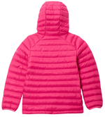 Powder Pass-3