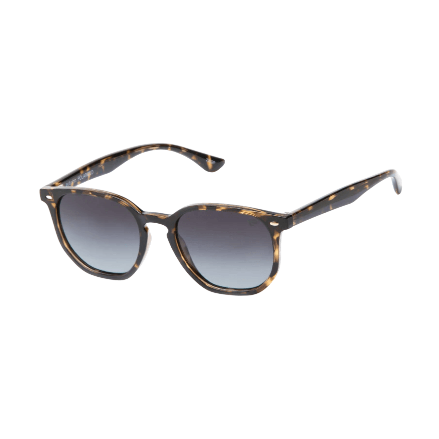 Autumn-Dbgg-Demi Brown-1