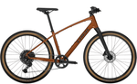 Dual Sport 3-11
