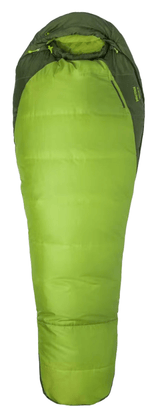 Trestles 30 Long-4430-Green Lichen/GR-1