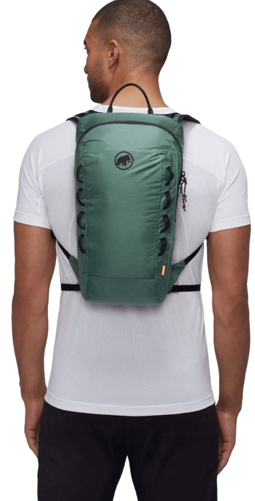 Neon Light 12L-39