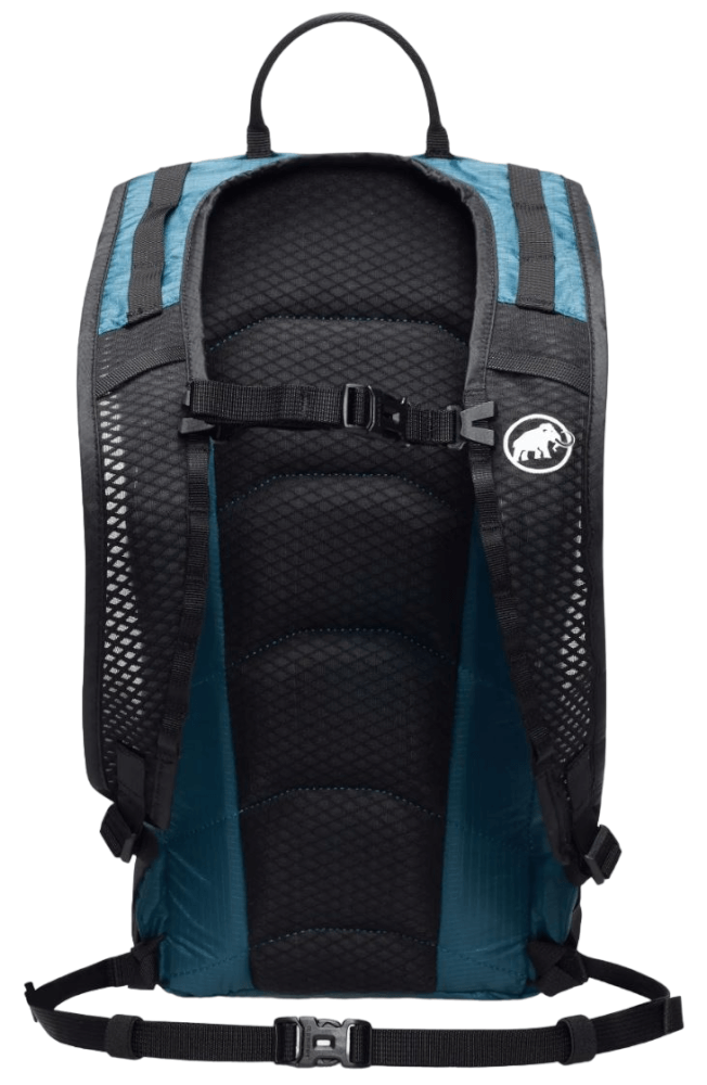 Neon Light 12L-79