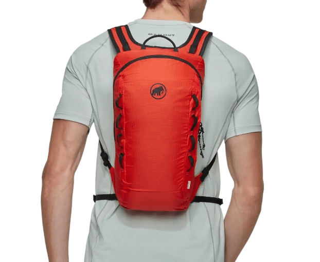 Neon Light 12L-55